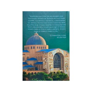 O DEVOTO DE NOSSA SENHORA APARECIDA